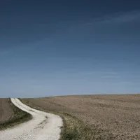 Rural voters emerge as decisive bloc in upcoming local elections