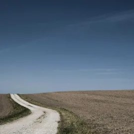 Rural voters emerge as decisive bloc in upcoming local elections