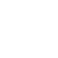 Custom Theme & Branding